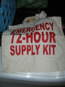 IMG_2339 bag, emergency supply kit bag, reusable bag
