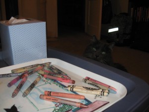 Ippie, cat, crayons, coloring, coloring book